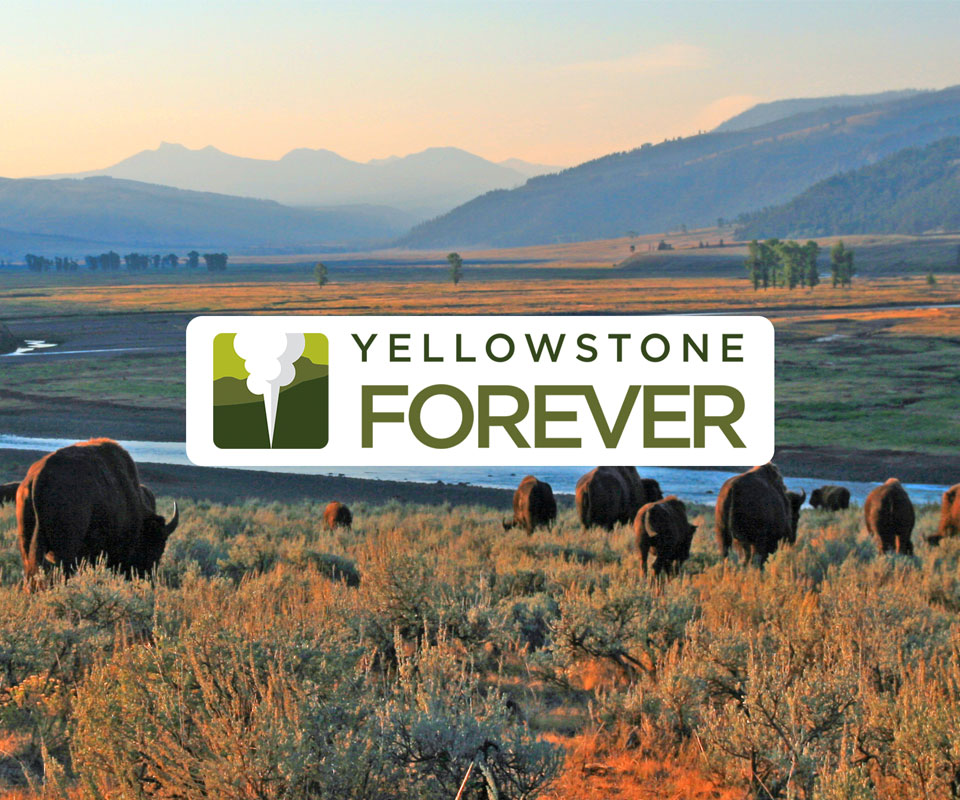 Image featuring logo of Yellowstone Forever